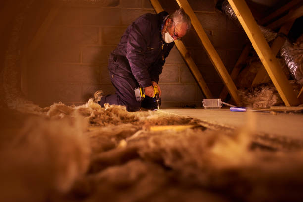 Best Crawl Space Insulation  in Kane, PA